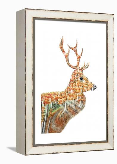 Spirit of the Forest Deer Landscape-Michelle Faber-Framed Premier Image Canvas