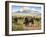 Spirit of the Plains-Jack Sorenson-Framed Art Print