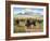 Spirit of the Plains-Jack Sorenson-Framed Art Print