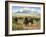 Spirit of the Plains-Jack Sorenson-Framed Art Print