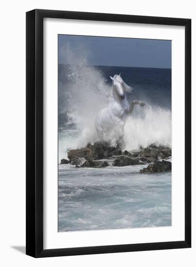 Spirit of the Sea-Bob Langrish-Framed Photographic Print