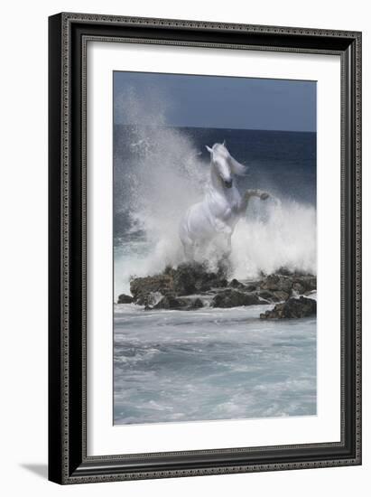 Spirit of the Sea-Bob Langrish-Framed Photographic Print