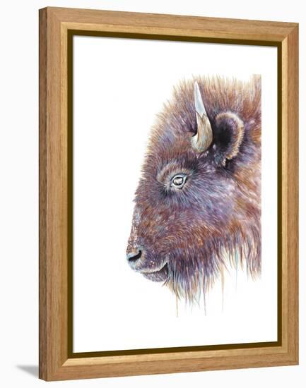 Spirit of the West Buffalo-Michelle Faber-Framed Premier Image Canvas