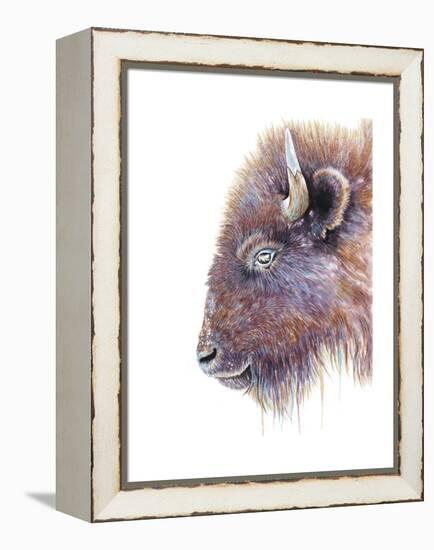 Spirit of the West Buffalo-Michelle Faber-Framed Premier Image Canvas