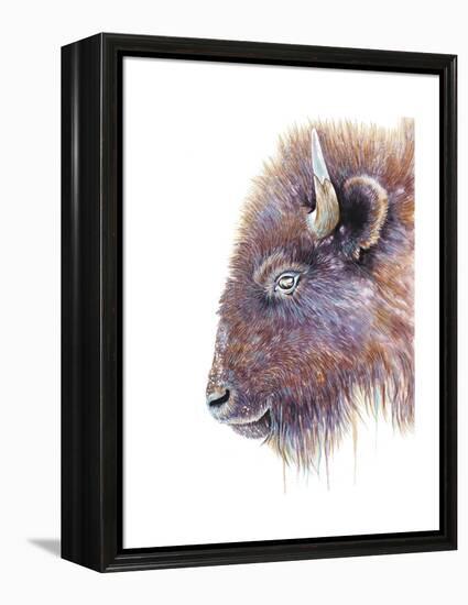 Spirit of the West Buffalo-Michelle Faber-Framed Premier Image Canvas