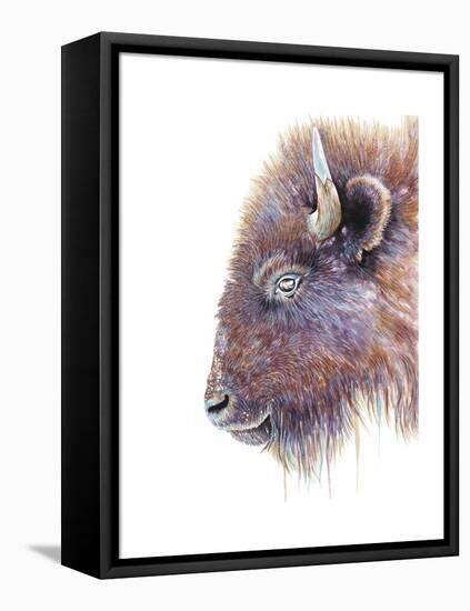 Spirit of the West Buffalo-Michelle Faber-Framed Premier Image Canvas