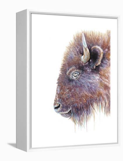 Spirit of the West Buffalo-Michelle Faber-Framed Premier Image Canvas