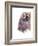 Spirit of the West Buffalo-Michelle Faber-Framed Giclee Print