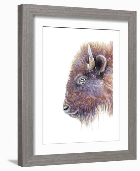 Spirit of the West Buffalo-Michelle Faber-Framed Giclee Print