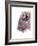 Spirit of the West Buffalo-Michelle Faber-Framed Giclee Print