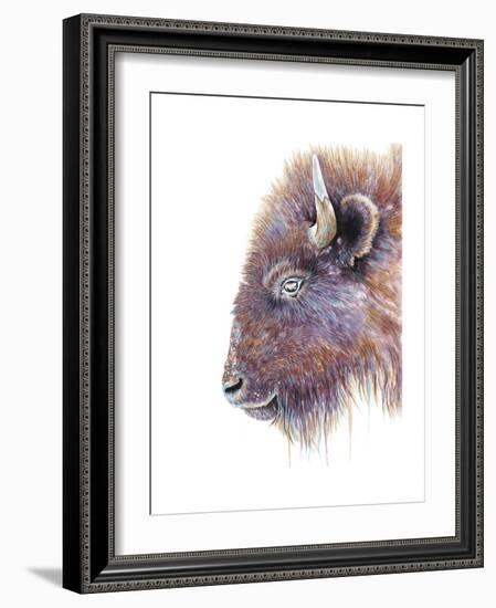 Spirit of the West Buffalo-Michelle Faber-Framed Giclee Print