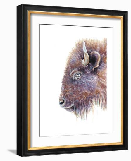 Spirit of the West Buffalo-Michelle Faber-Framed Giclee Print