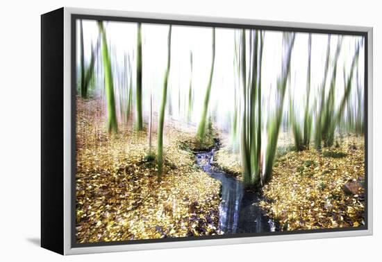 Spirit of Water-Viviane Fedieu Daniel-Framed Premier Image Canvas