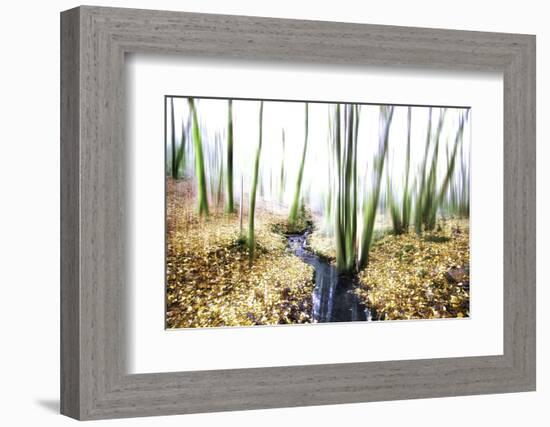 Spirit of Water-Viviane Fedieu Daniel-Framed Photographic Print