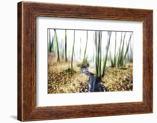 Spirit of Water-Viviane Fedieu Daniel-Framed Photographic Print