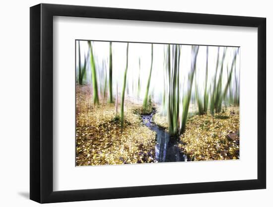 Spirit of Water-Viviane Fedieu Daniel-Framed Photographic Print