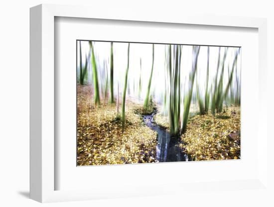 Spirit of Water-Viviane Fedieu Daniel-Framed Photographic Print