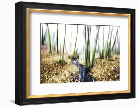 Spirit of Water-Viviane Fedieu Daniel-Framed Photographic Print