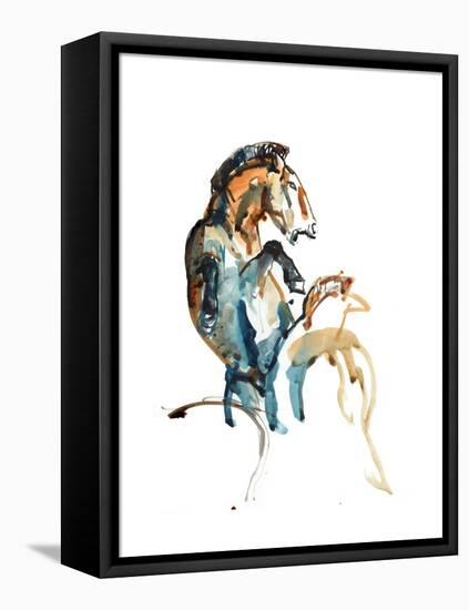 Spirit (Przewalski), 2013-Mark Adlington-Framed Premier Image Canvas