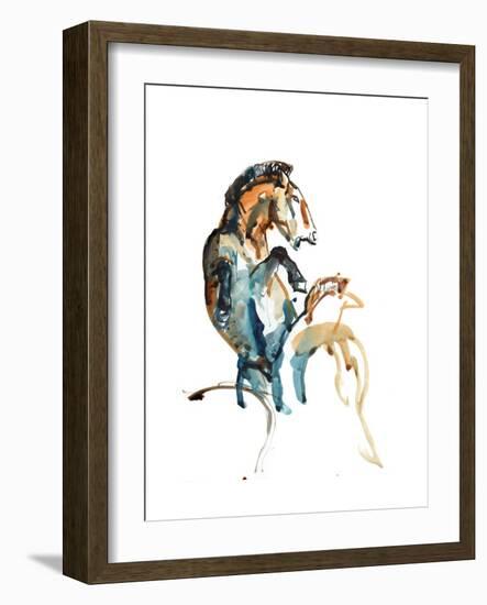 Spirit (Przewalski), 2013-Mark Adlington-Framed Giclee Print