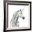 Spirit Unicorn I Square-James Wiens-Framed Art Print