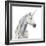 Spirit Unicorn I Square-James Wiens-Framed Art Print