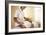 Spiritual Healing-Adam Gault-Framed Photographic Print