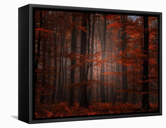 Spiritual Wood-Philippe Sainte-Laudy-Framed Premier Image Canvas