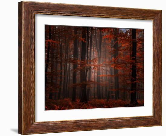 Spiritual Wood-Philippe Sainte-Laudy-Framed Premium Photographic Print
