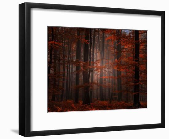 Spiritual Wood-Philippe Sainte-Laudy-Framed Premium Photographic Print