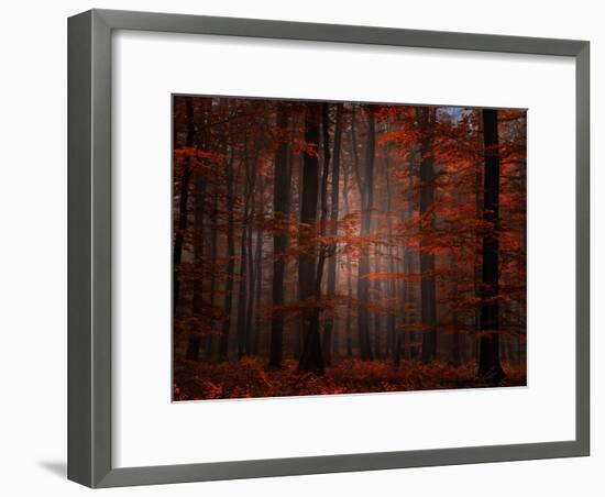 Spiritual Wood-Philippe Sainte-Laudy-Framed Premium Photographic Print