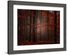 Spiritual Wood-Philippe Sainte-Laudy-Framed Photographic Print