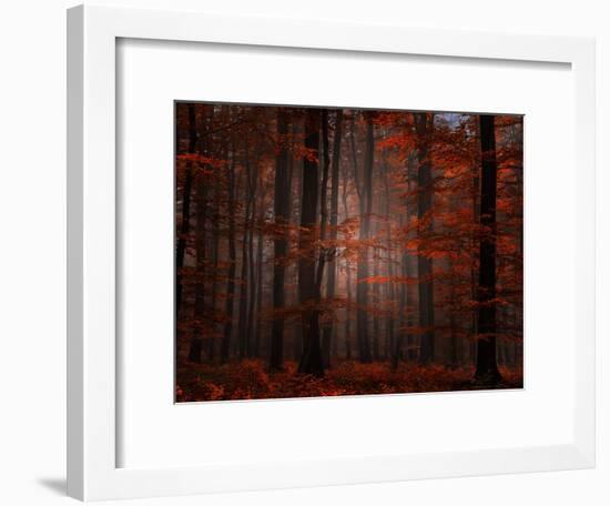 Spiritual Wood-Philippe Sainte-Laudy-Framed Photographic Print