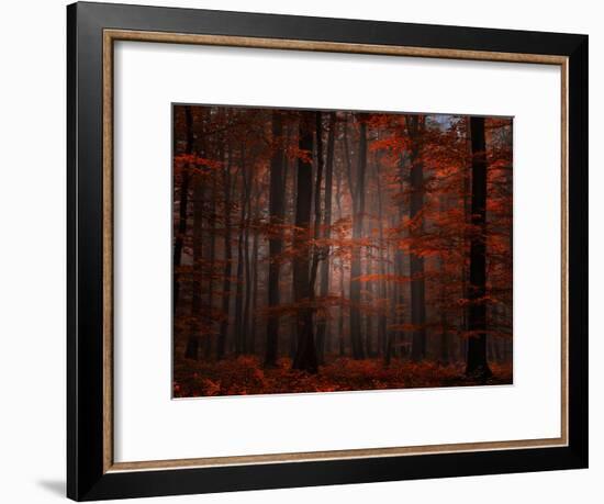 Spiritual Wood-Philippe Sainte-Laudy-Framed Photographic Print