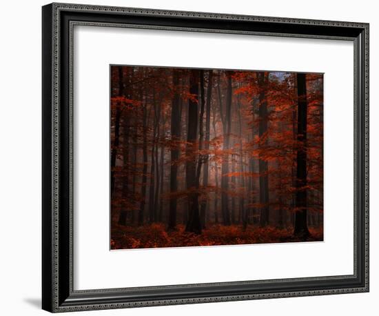 Spiritual Wood-Philippe Sainte-Laudy-Framed Photographic Print