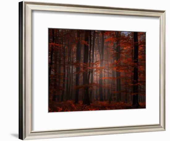 Spiritual Wood-Philippe Sainte-Laudy-Framed Photographic Print