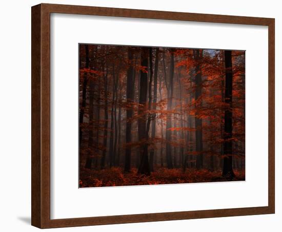 Spiritual Wood-Philippe Sainte-Laudy-Framed Photographic Print