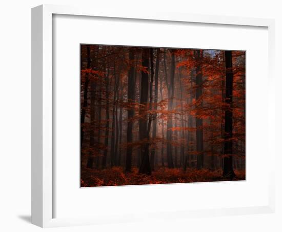 Spiritual Wood-Philippe Sainte-Laudy-Framed Photographic Print