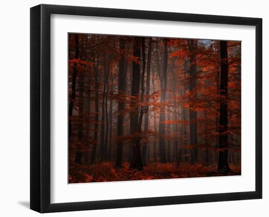 Spiritual Wood-Philippe Sainte-Laudy-Framed Photographic Print