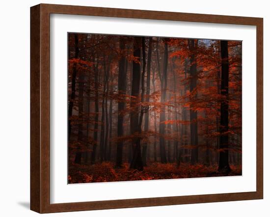 Spiritual Wood-Philippe Sainte-Laudy-Framed Photographic Print