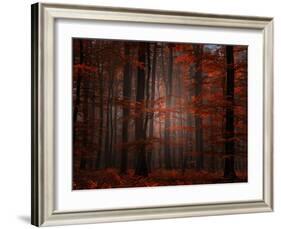 Spiritual Wood-Philippe Sainte-Laudy-Framed Photographic Print