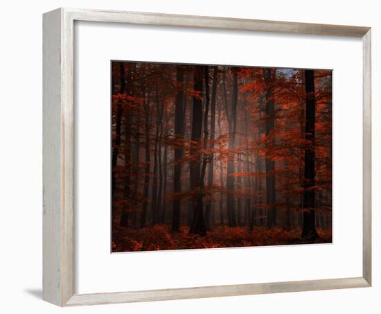 Spiritual Wood-Philippe Sainte-Laudy-Framed Photographic Print