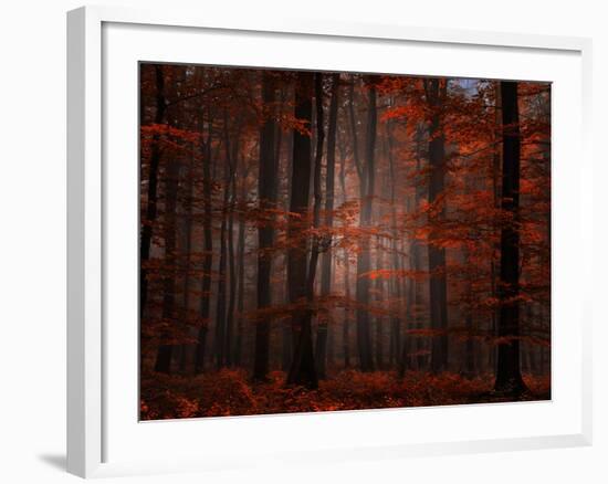 Spiritual Wood-Philippe Sainte-Laudy-Framed Photographic Print