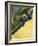 Spitfire and Doodle Bug-Wilf Hardy-Framed Giclee Print