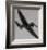 Spitfire in Flight-null-Framed Art Print