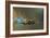 Spitfire-Barrie Clark-Framed Premium Giclee Print