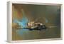 Spitfire-Barrie Clark-Framed Stretched Canvas