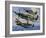 Spitfires-Wilf Hardy-Framed Giclee Print