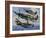 Spitfires-Wilf Hardy-Framed Giclee Print