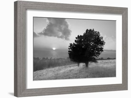 Spitler Knoll Overlook-Winthrope Hiers-Framed Photographic Print